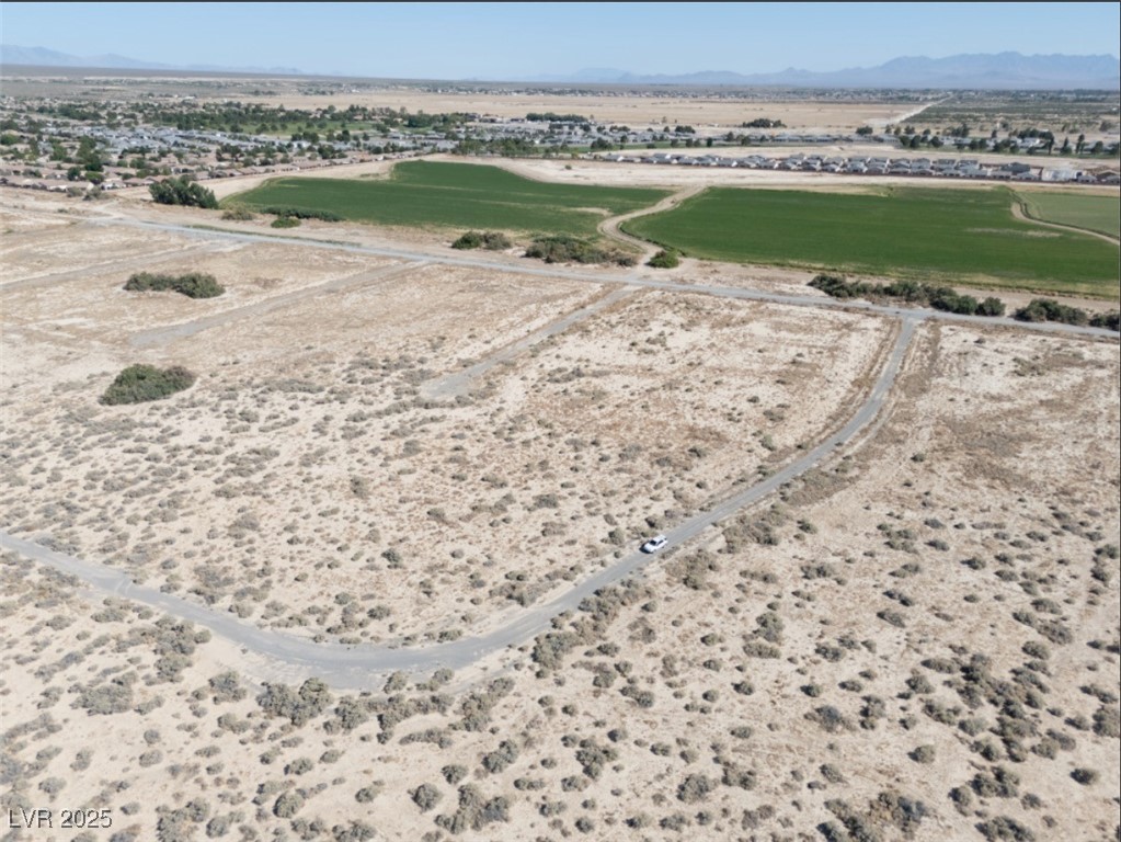 4081 South Dice Avenue Pahrump NV 89048