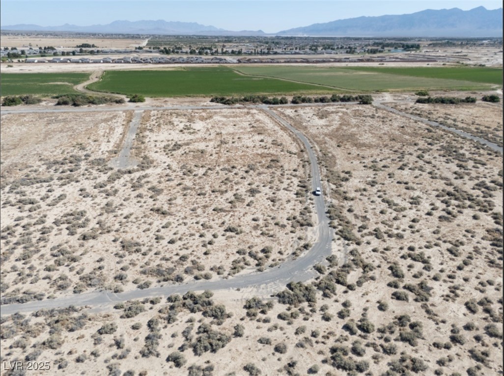 4081 South Dice Avenue Pahrump NV 89048