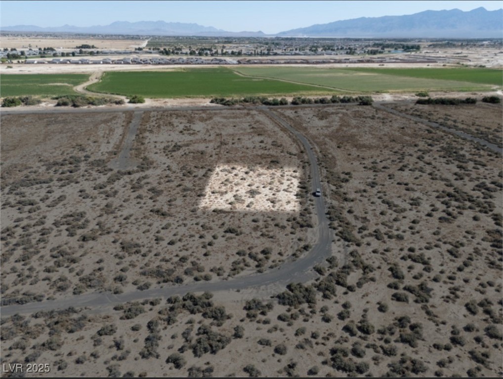 4081 South Dice Avenue Pahrump NV 89048