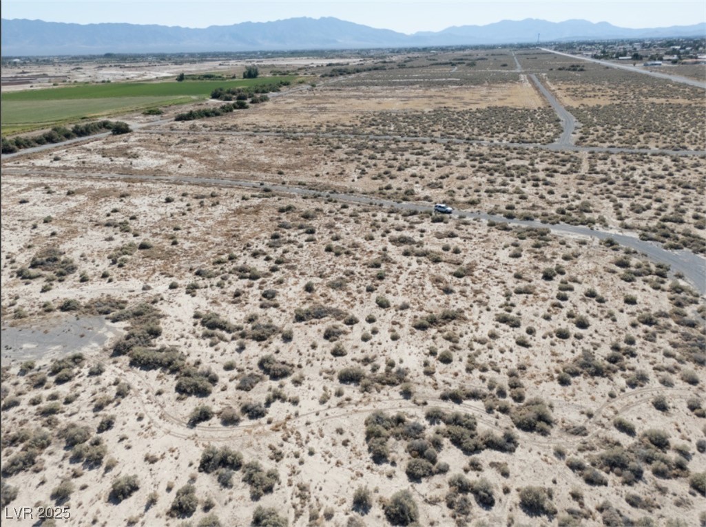 4081 South Dice Avenue Pahrump NV 89048