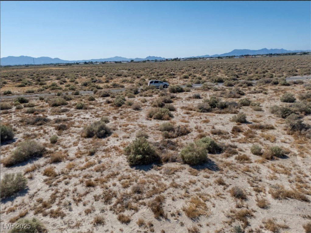 4081 South Dice Avenue Pahrump NV 89048