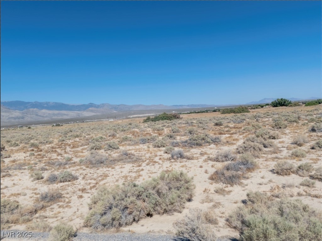 4081 South Dice Avenue Pahrump NV 89048