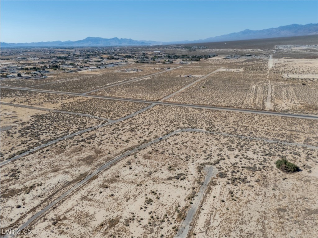 4081 South Dice Avenue Pahrump NV 89048