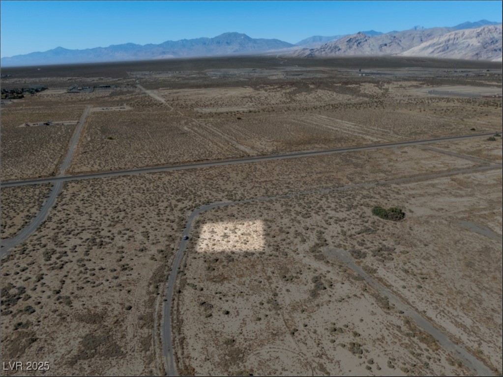 4081 South Dice Avenue Pahrump NV 89048
