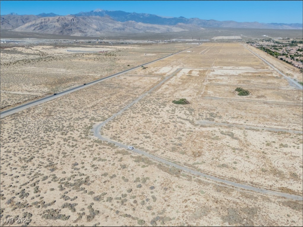 4081 South Dice Avenue Pahrump NV 89048