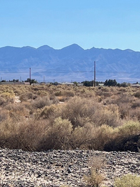 1300 East Jacaranda Street Pahrump NV 89048