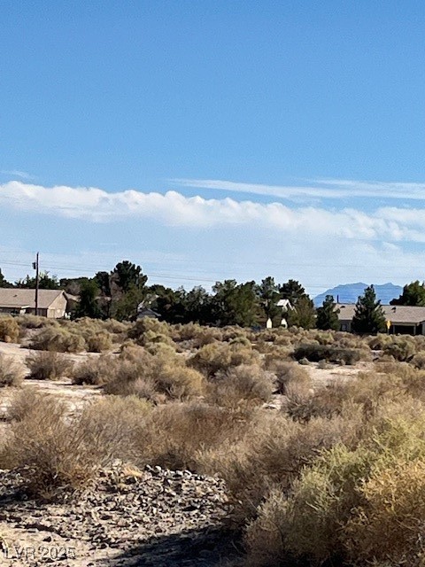 1300 East Jacaranda Street Pahrump NV 89048