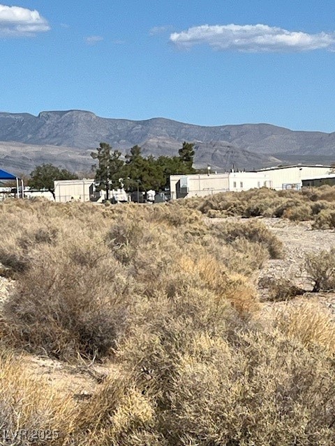 1300 East Jacaranda Street Pahrump NV 89048