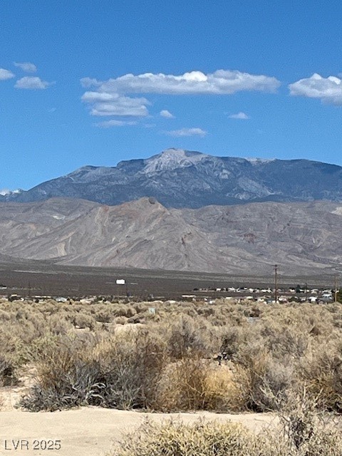 1300 East Jacaranda Street Pahrump NV 89048
