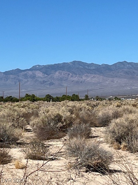 1300 East Jacaranda Street Pahrump NV 89048