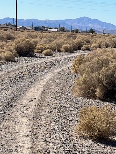 1300 East Jacaranda Street Pahrump NV 89048