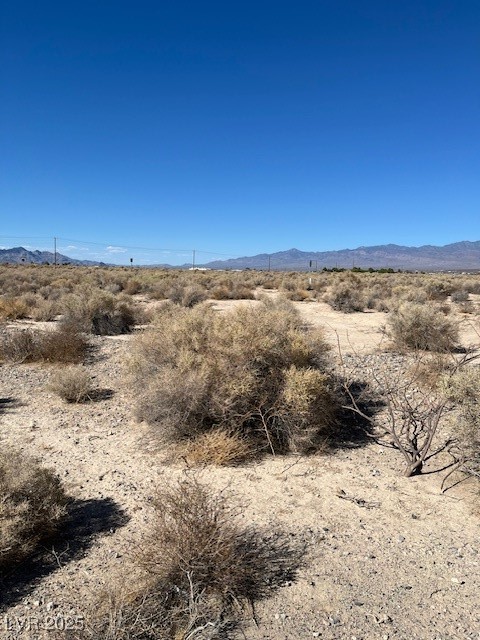 1300 East Jacaranda Street Pahrump NV 89048