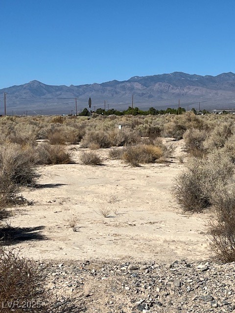 1300 East Jacaranda Street Pahrump NV 89048