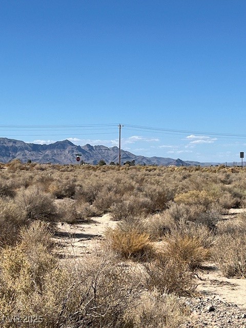 1300 East Jacaranda Street Pahrump NV 89048