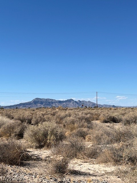 1300 East Jacaranda Street Pahrump NV 89048