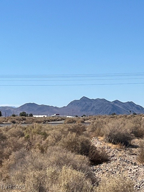 1300 East Jacaranda Street Pahrump NV 89048