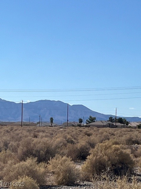 1300 East Jacaranda Street Pahrump NV 89048