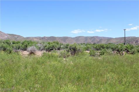 Mobile - Rv Estates - 14.54 Acres Caliente NV 89008