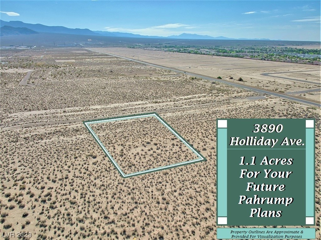 3890 South Holliday Avenue Pahrump NV 89048