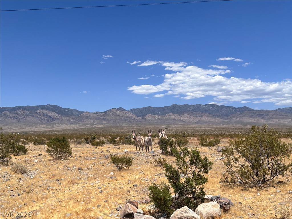 560 West Stealth Road Pahrump NV 89060