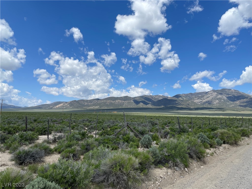 Monte Neva Road Ely NV 89301