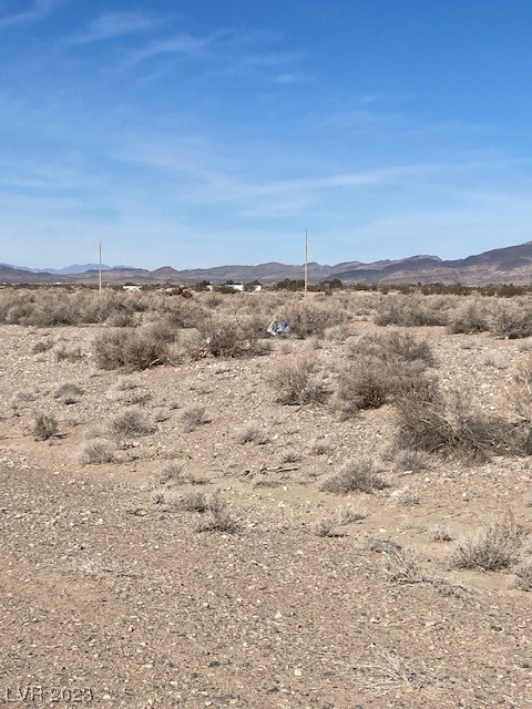 860 Olivia Avenue Pahrump NV 89060