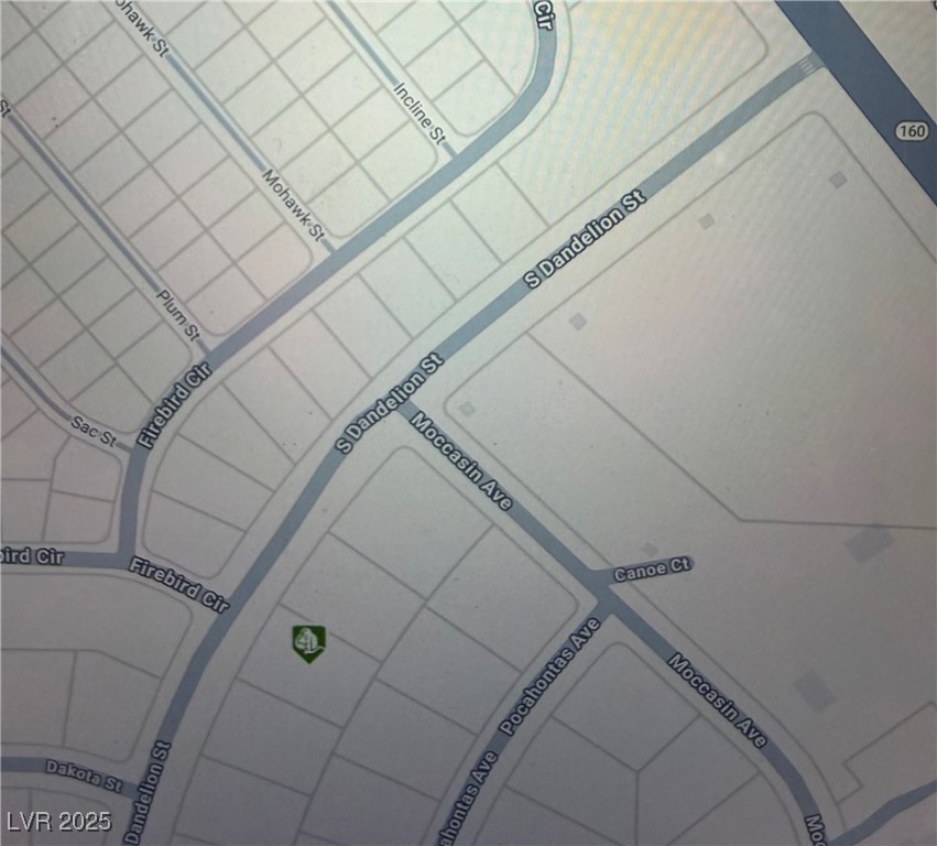 1201 South Dandelion Street Pahrump NV 89048