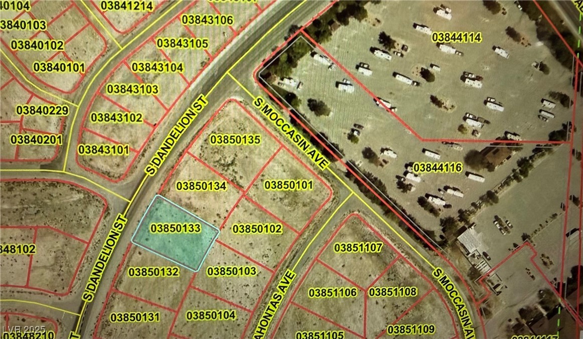 1201 South Dandelion Street Pahrump NV 89048