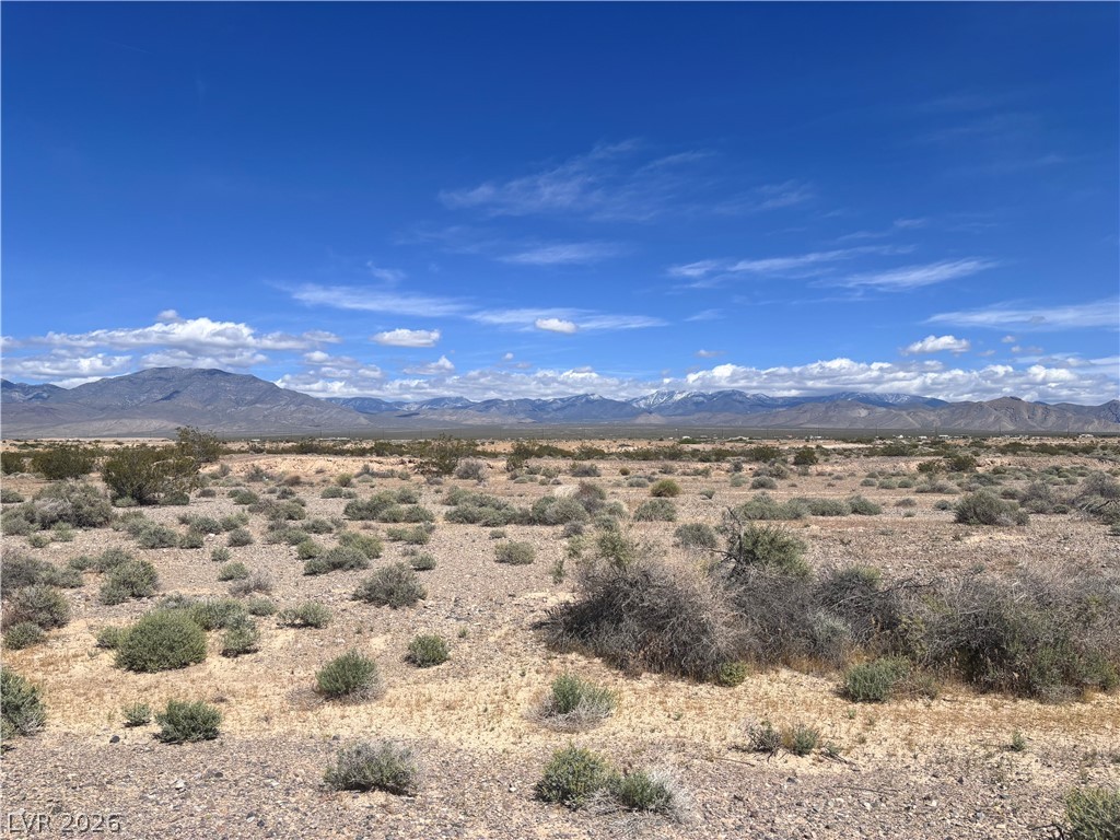 661 North Emery Street Pahrump NV 89060