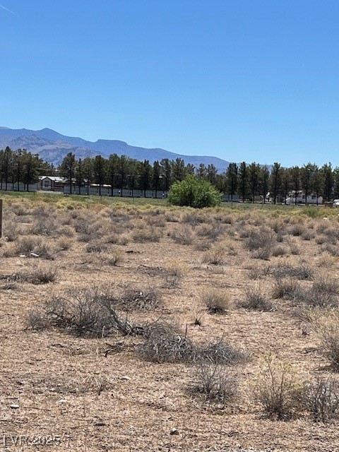861 South Ford Loop Pahrump NV 89048