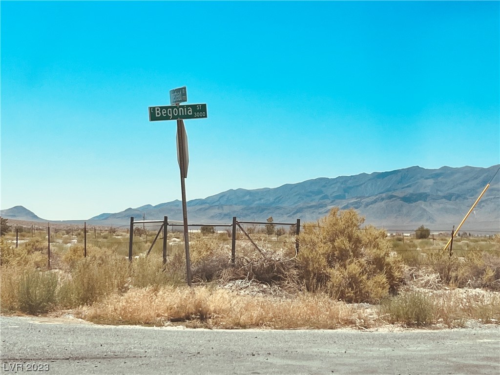 2731 Begonia Street Pahrump NV 89048