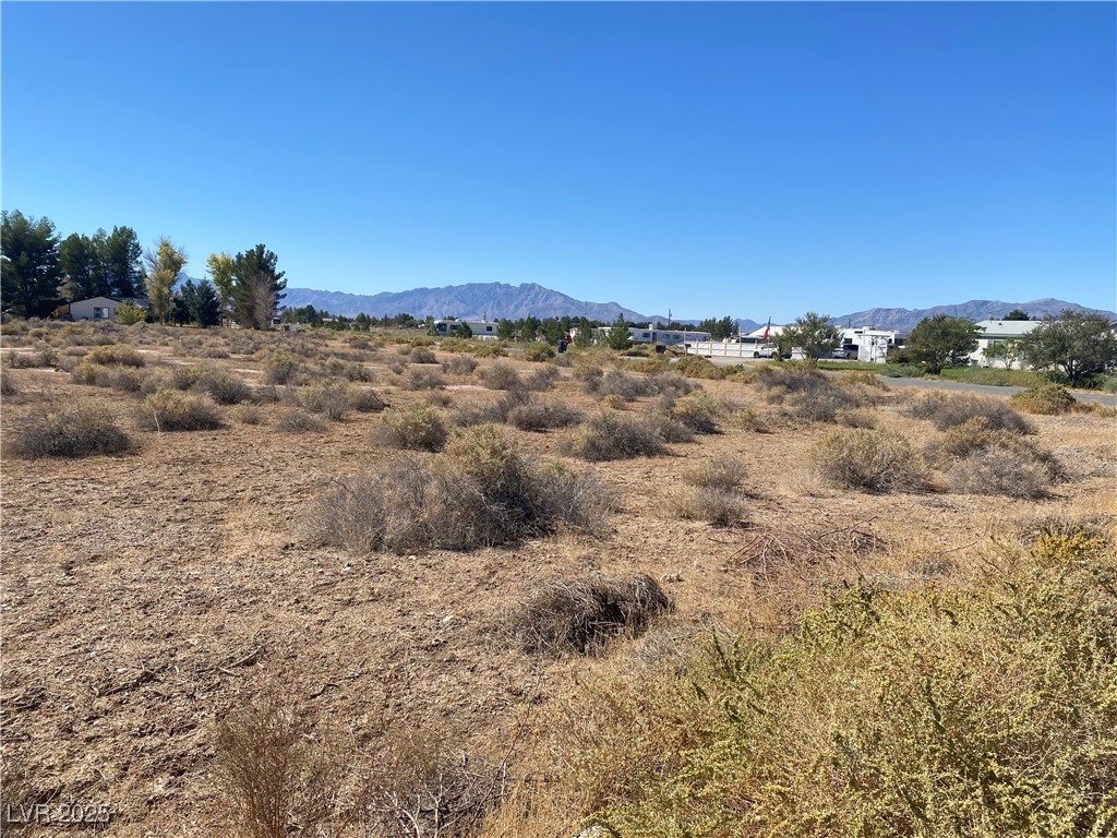 2481 West Adkisson Street Pahrump NV 89060