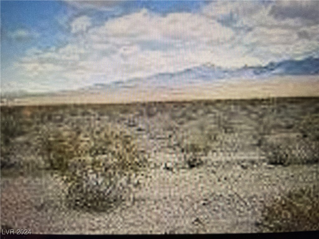 1451 East Saguaro Drive Pahrump NV 89060