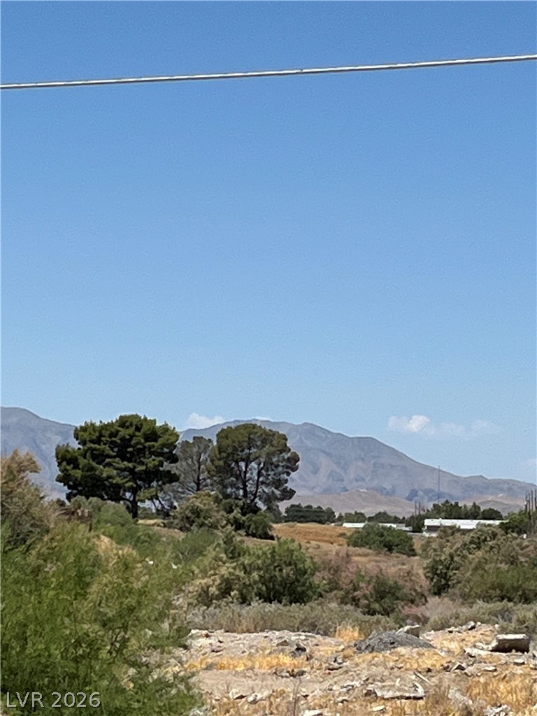 1461 Upland Avenue Pahrump NV 89048