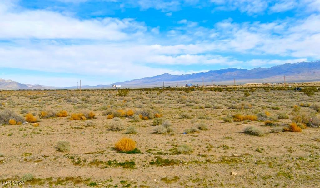 961 East Olivia Avenue Pahrump NV 89060