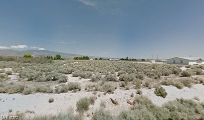 3521 Parkridge Avenue Pahrump NV 89048