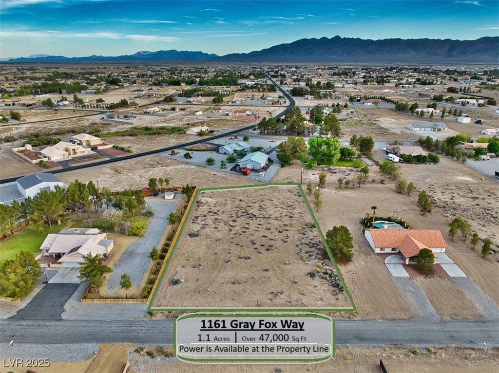 1161 Gray Fox Way Pahrump NV 89048