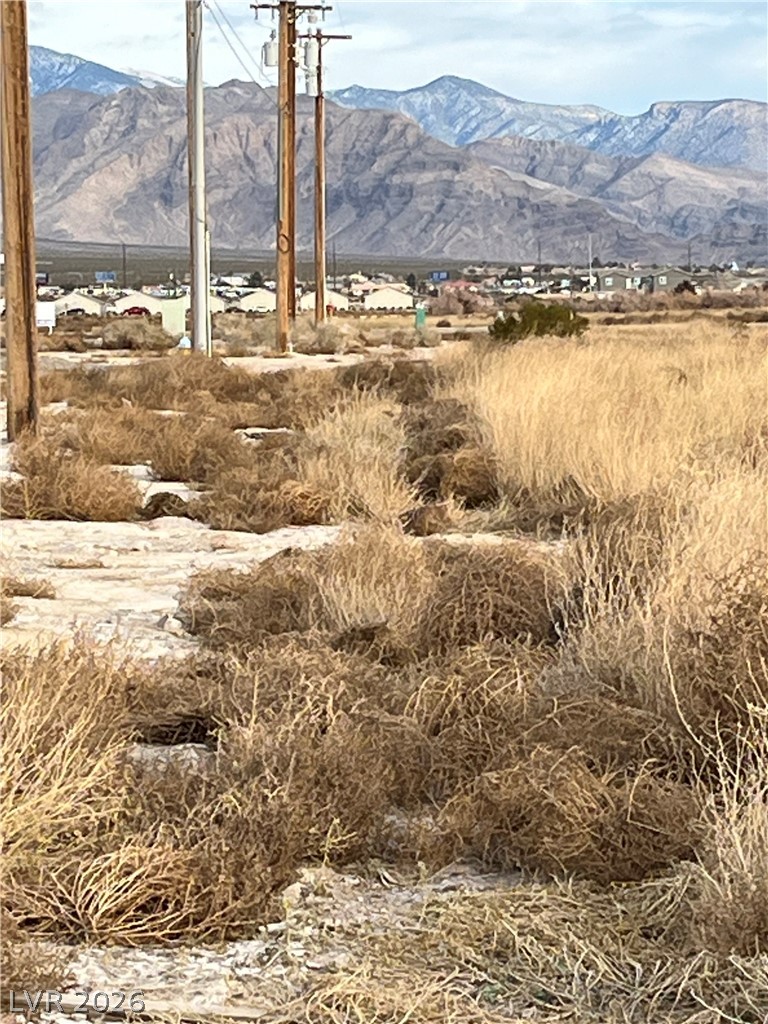 1700 Pahrump Valley Blvd 55, 56, &57 Pahrump NV 89048