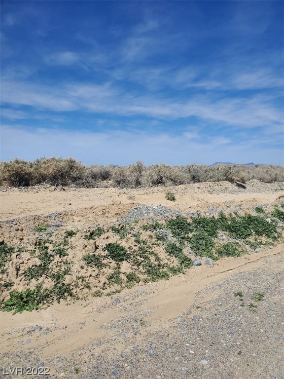 3981 South Kid Avenue Pahrump NV 89048