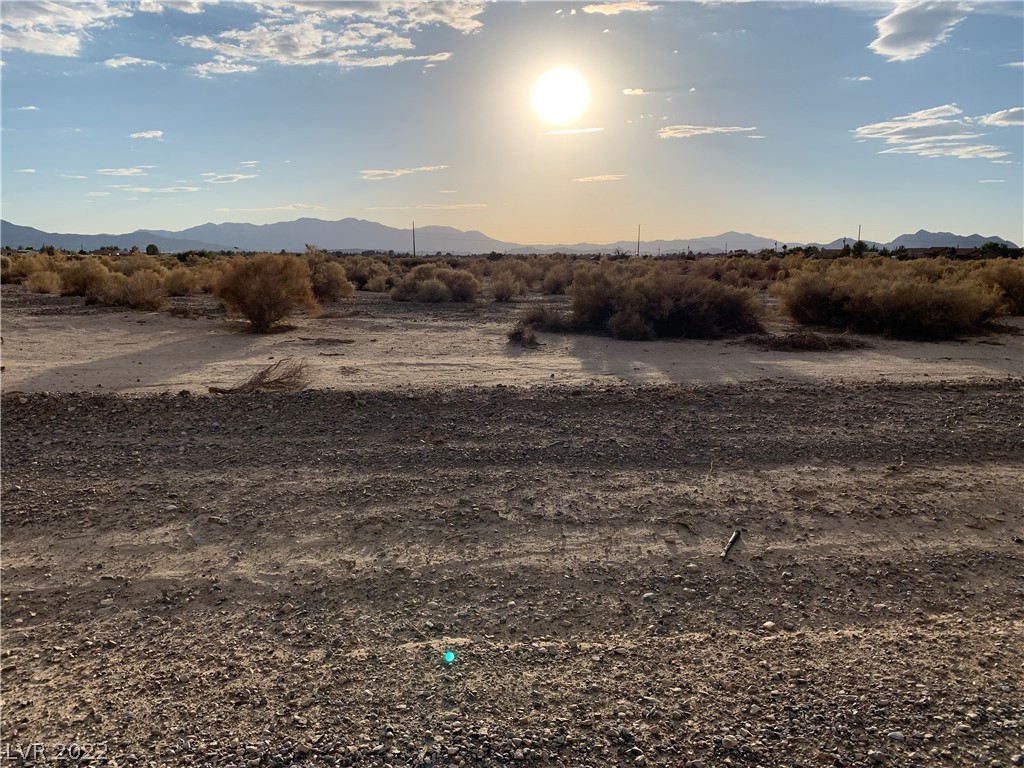 981 East Jacaranda Street Pahrump NV 89048