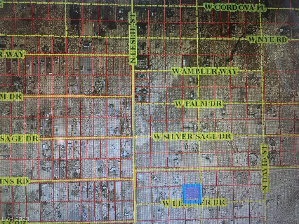 1770 West Leffner Drive Pahrump NV 89060