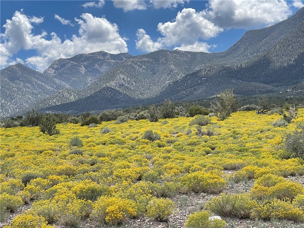 3 Camp Bonanza Apn# 096-06-210-030 Las Vegas NV 89124