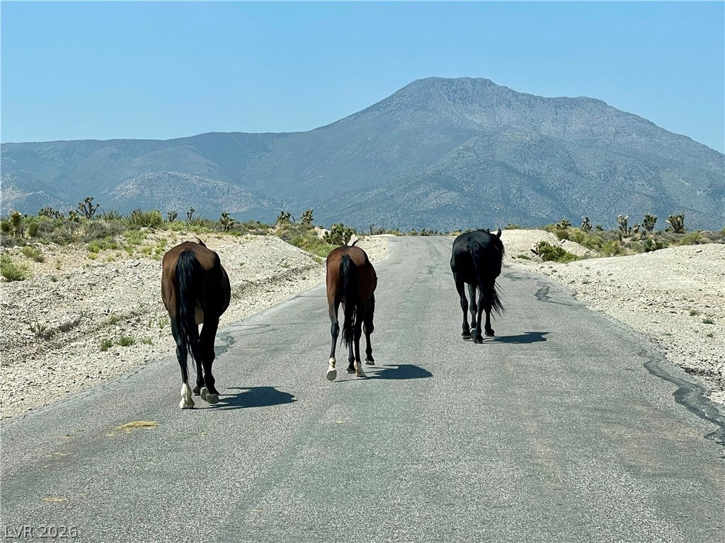 3 Camp Bonanza Apn# 096-06-210-030 Las Vegas NV 89124
