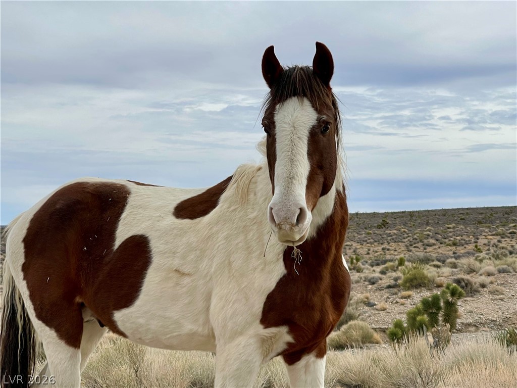 3 Camp Bonanza Apn# 096-06-210-030 Las Vegas NV 89124