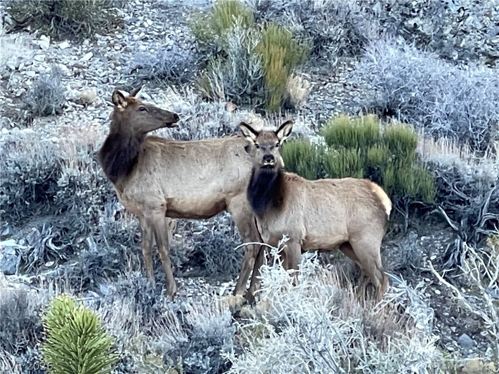 3 Camp Bonanza Apn# 096-06-210-030 Las Vegas NV 89124
