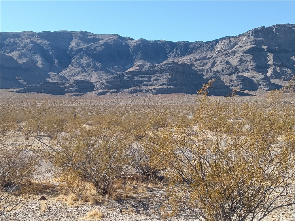 2440 West Duck Street Pahrump NV 89060