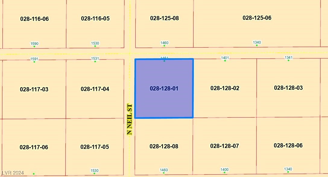 1461 West Alexandrite Road Pahrump NV 89060