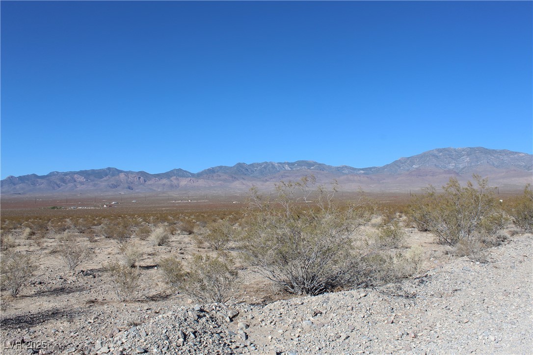 1130 East Harris Farm Road Pahrump NV 89060