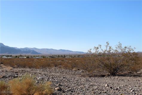 1130 East Harris Farm Road Pahrump NV 89060