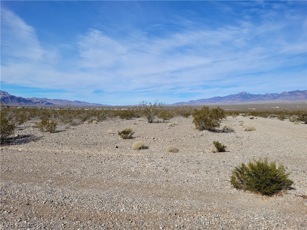 1380 East Pony Drive Pahrump NV 89060